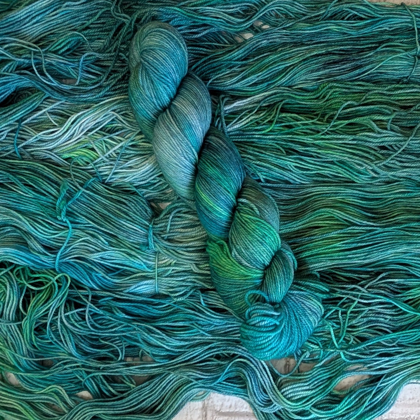 CYANOBACTÉRIE | BAS CLASSIQUE
