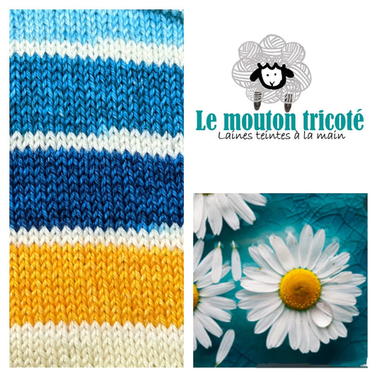 DAISY DELIGHT | DYED TO ORDER