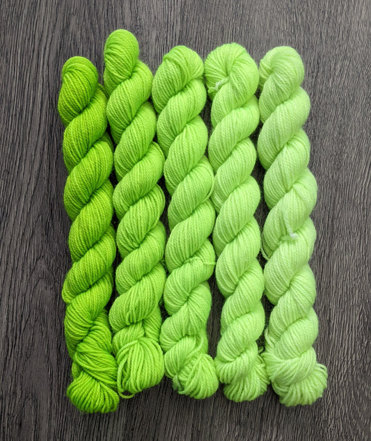 ENSEMBLE DÉGRADÉ VERT | BOÎTE À RABAIS