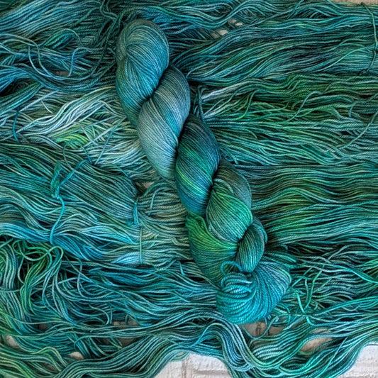 CYANOBACTÉRIE | BAS CLASSIQUE